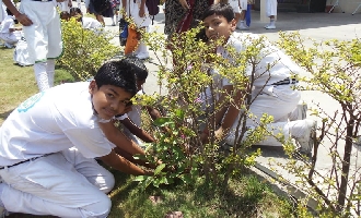 Dharampur school